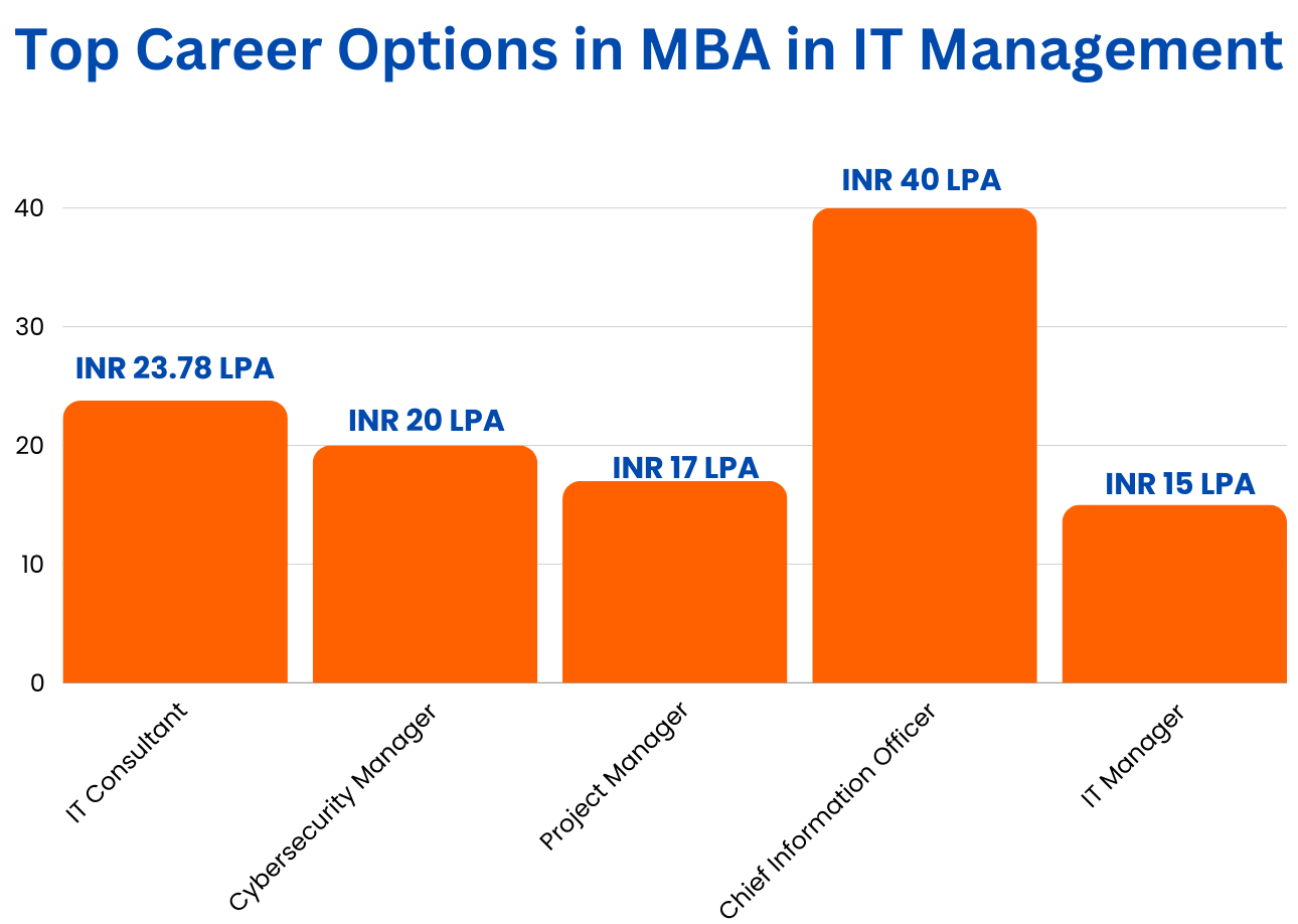 Jobs after MBA in IT