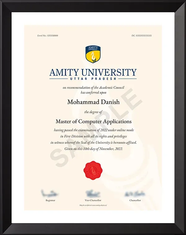 Amity Online MBA Degree Sample