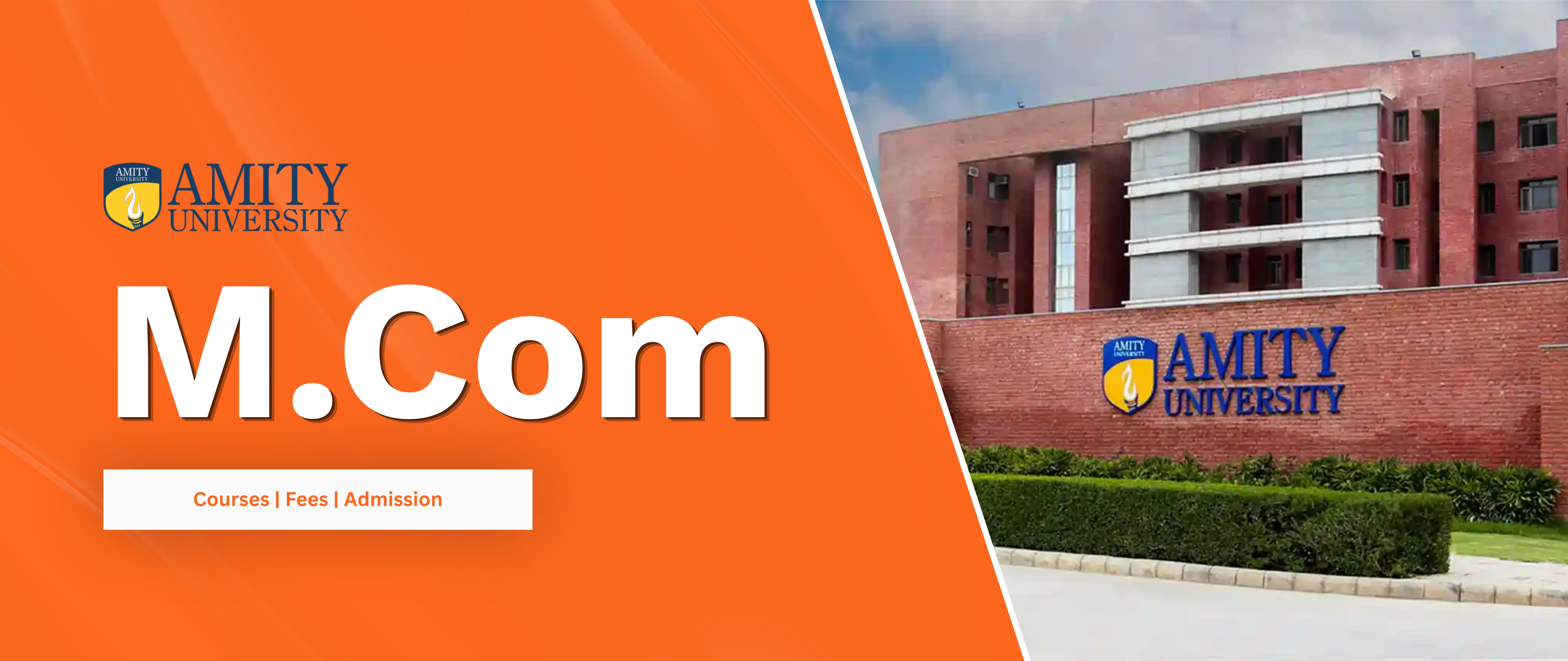 Amity Online M.Com