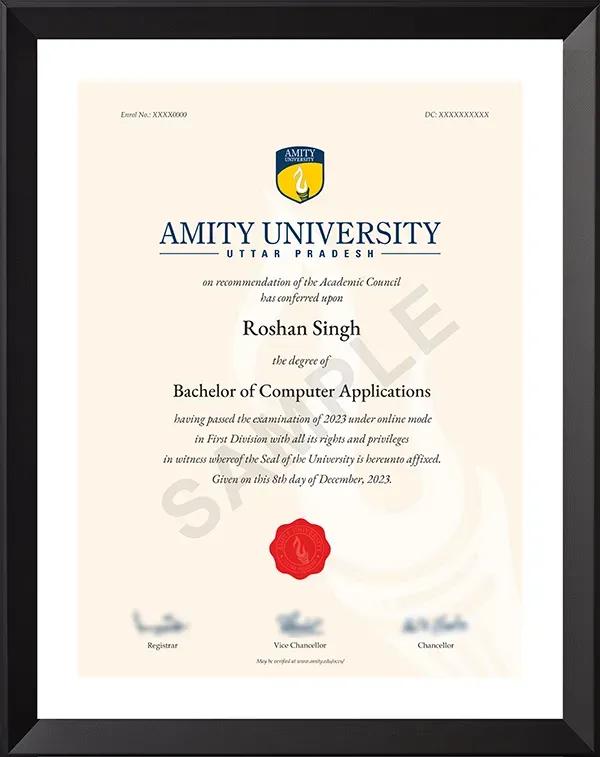 Amity Online BCA Sample Degree