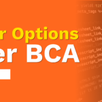 Career Options After BCA