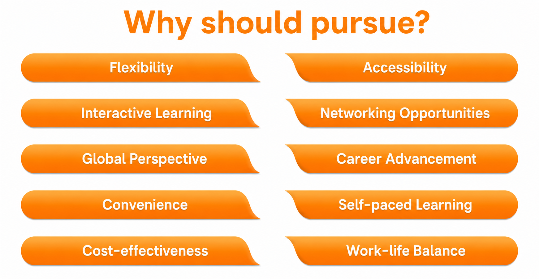 Online Software and Technology Program