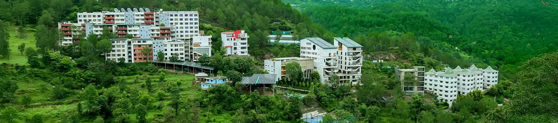 Shoolini University Online BCom banner